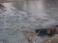 Ледените води на река Искър
